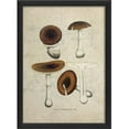 thumbnail image 1 of The Artwork Factory 17410 Mushroom III in Black Ready to Hang Artwork, 1 of 1