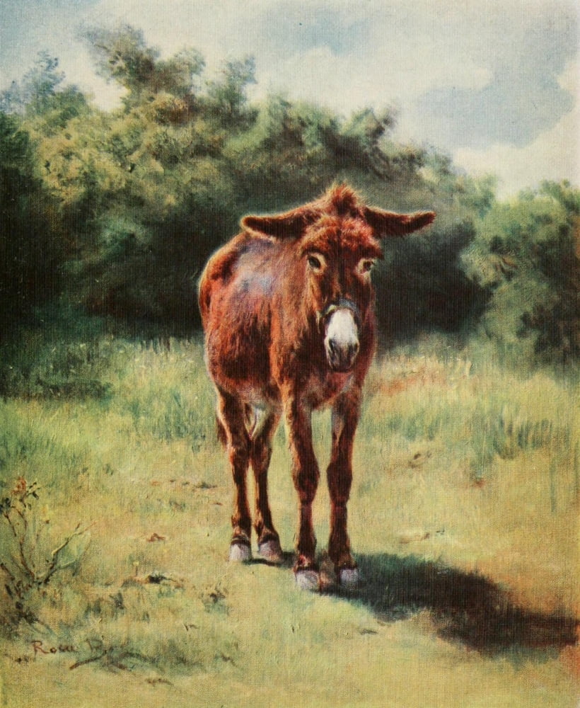 The Ass Rosa Bonheur 1913 Canvas Art - Rosa Bonheur (24 x 36)