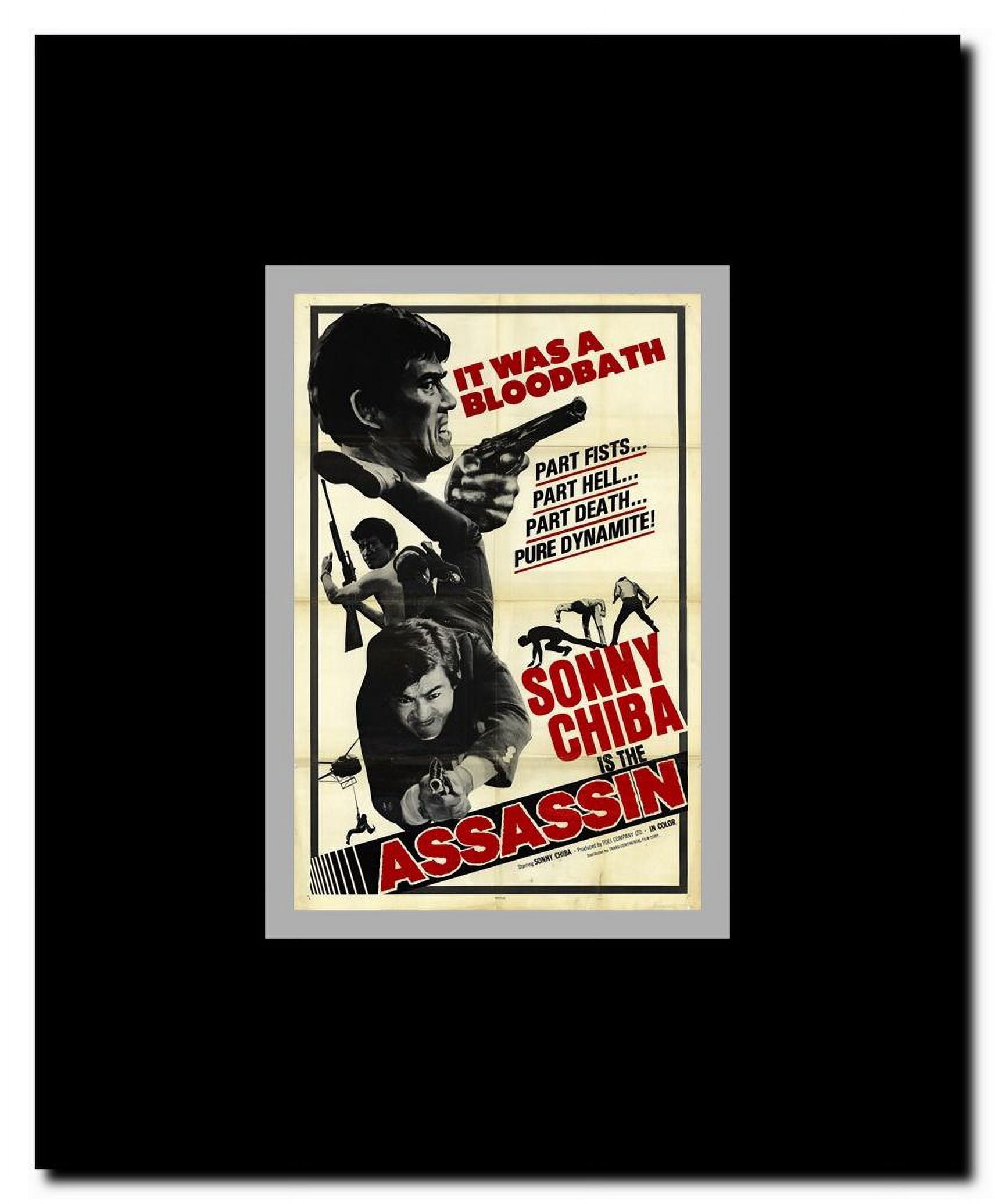 The Assassin Framed Movie Poster