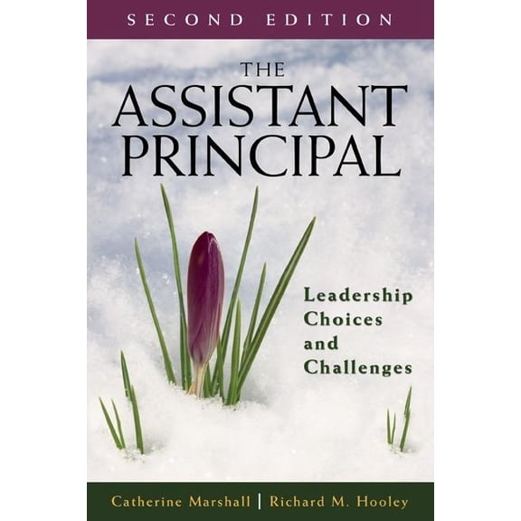 The Assistant Principal (Paperback)