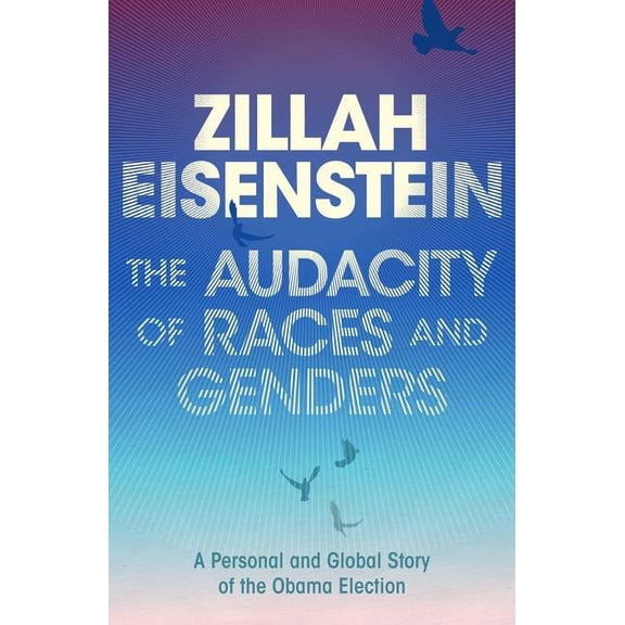 The Audacity of Races and Genders: A Personal and Global Story of the Obama Election, (Hardcover)