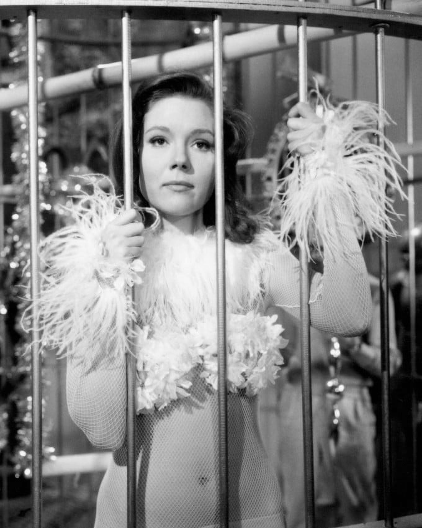 The Avengers Diana Rigg skimpy costume in giant bird cage 24X36 Poster ...