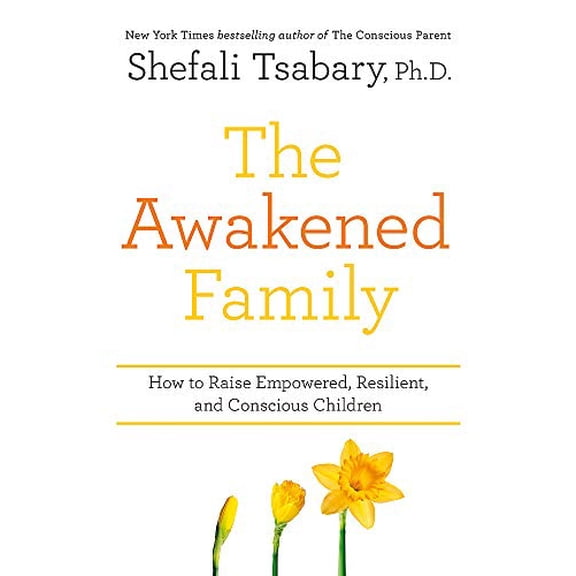 Pre-Owned The Awakened Family: How to Raise Empowered, Resilient, and Conscious Children (Paperback) 1473690781 9781473690783
