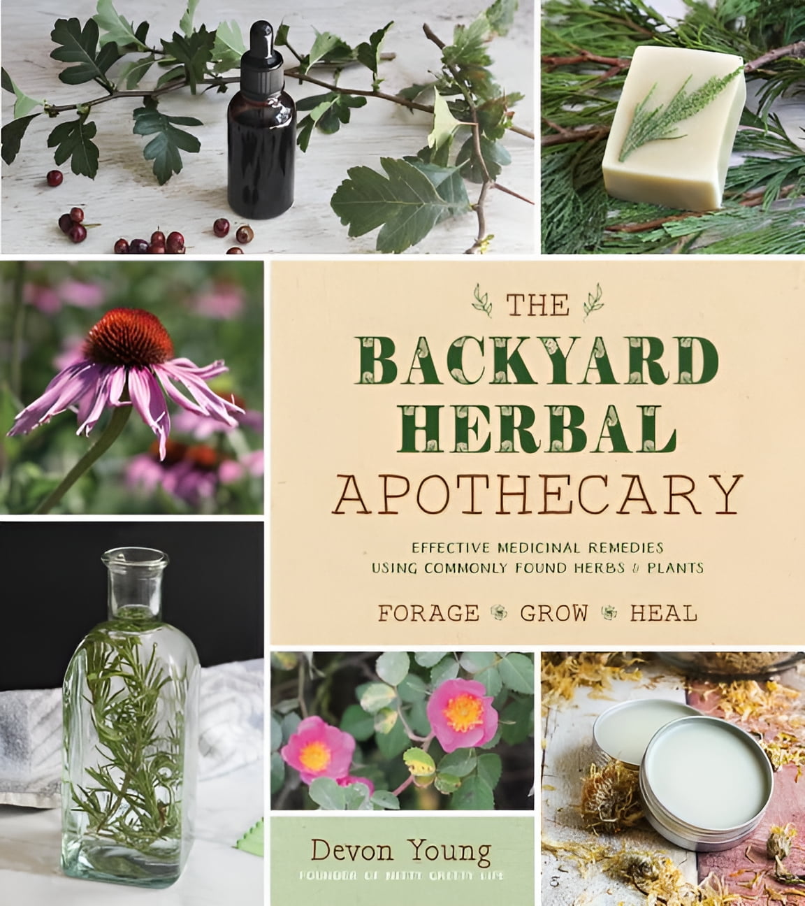 The Backyard Herbal Apothecary, (Paperback)