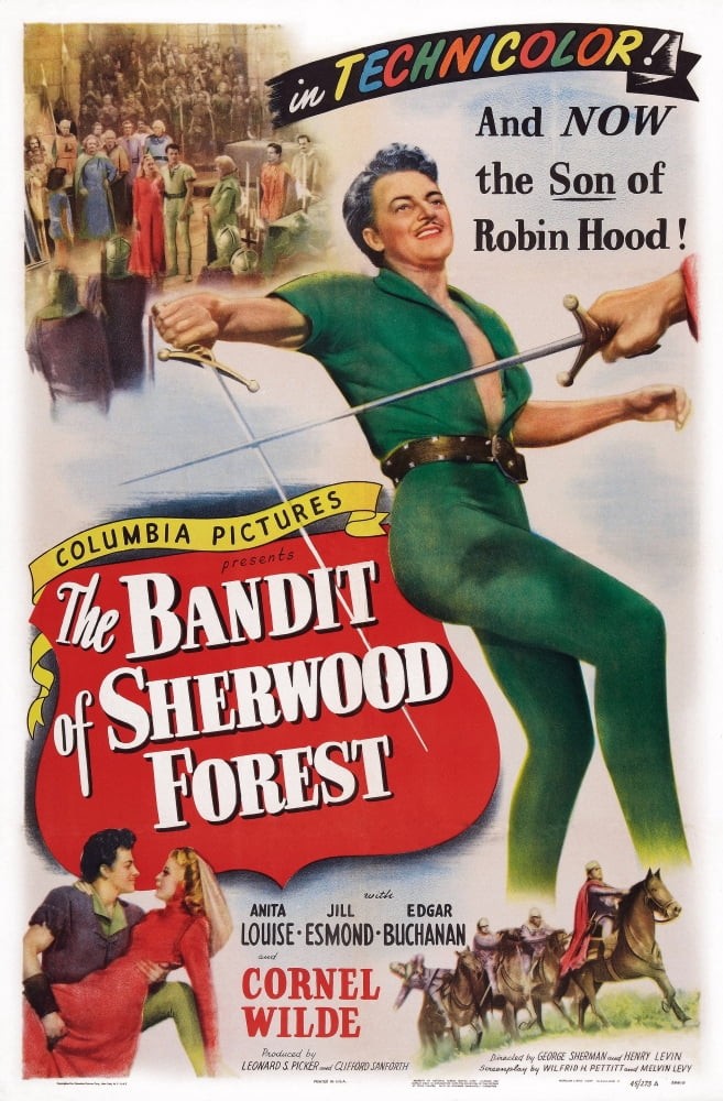 The Bandit Of Sherwood Forest U Canvas Art - (24 x 36)