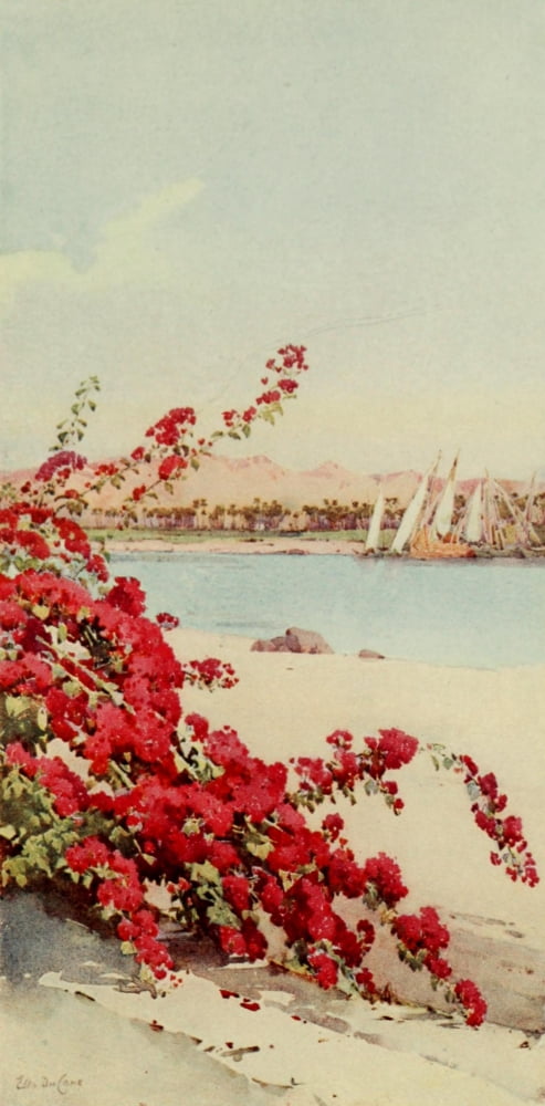 The Banks of the Nile 1913 View from a garden on Elephantine Island Canvas Art - Ella du Cane (24 x 36)