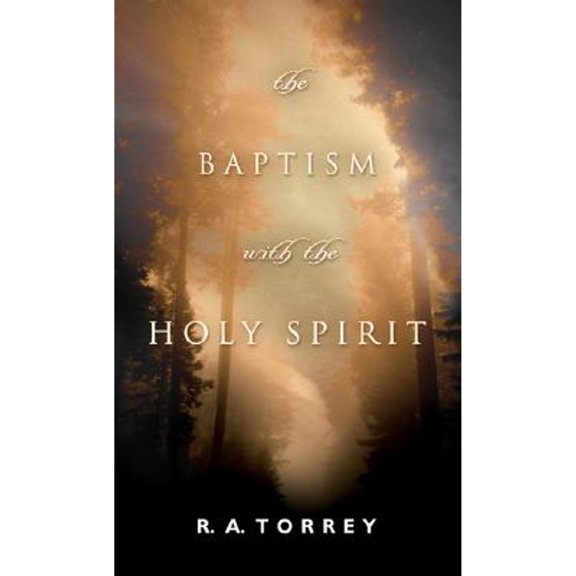 Pre-Owned The Baptism with the Holy Spirit (Paperback) 9780764200199