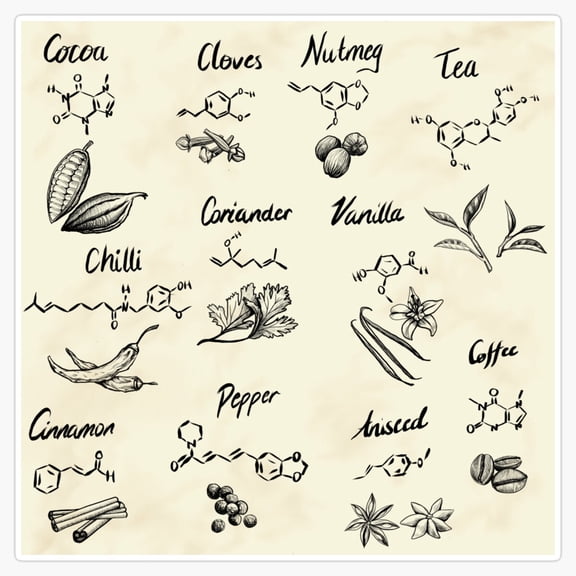 The Basic Chemistry Of Food Carbon Hydrogen Molecules Science Education Decal For Journal Sticker