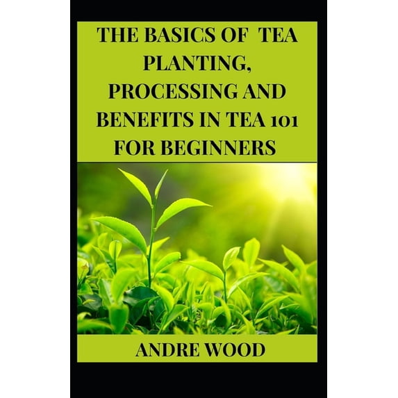 The Basics Of Tea Planting, Processing And Benefit In Tea 101 For Beginners