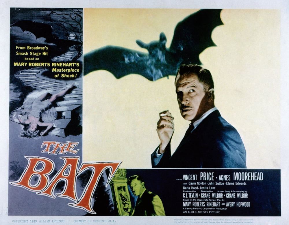 The Bat Canvas Art - (28 x 22)