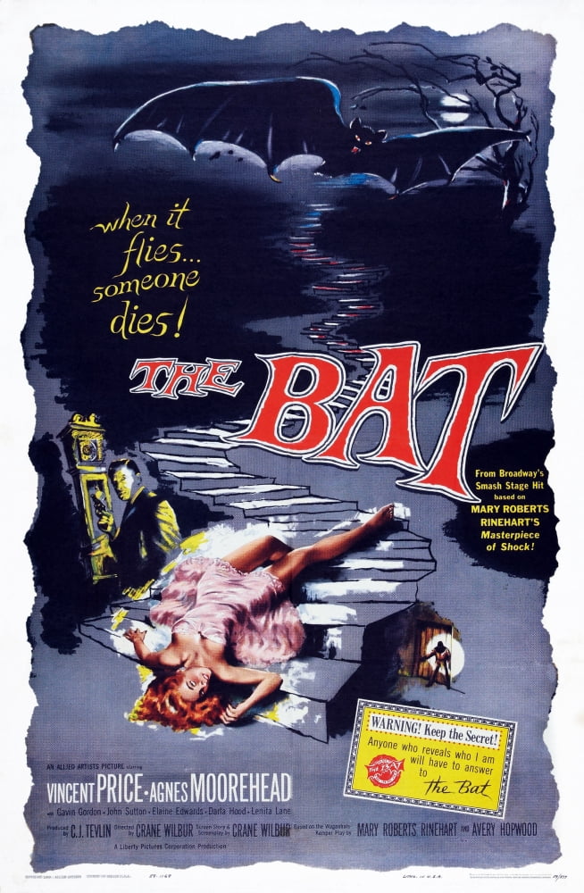 The Bat U Canvas Art - (11 x 17)