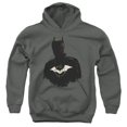 thumbnail image 1 of The Batman Silhouette With Riddler Logo Kids Pull-Over Hoodie (X-Large) for Youth Boys and Girls, Charcoal, 1 of 5