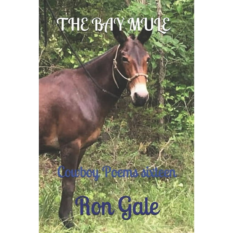 The bay mules shop
