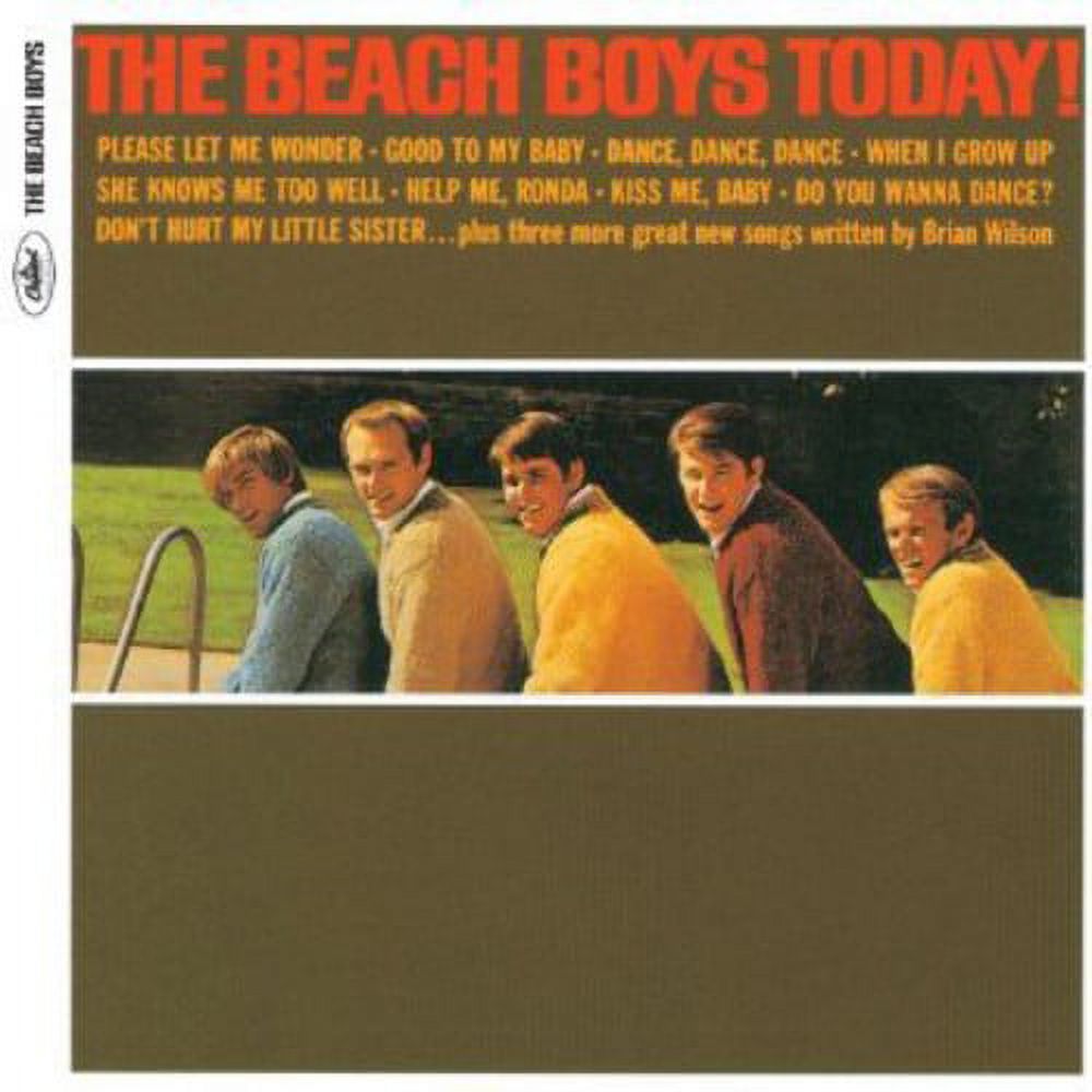 The Beach Boys - Today - Rock N' Roll Oldies - CD - image 1 of 2