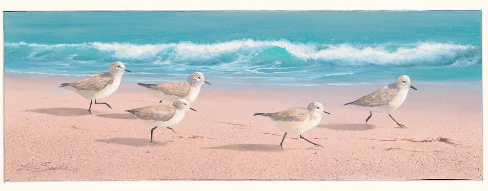 The Beach Bunch Canvas Art - Lin Seslar (12 x 30)