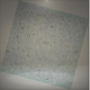 The Beadery - 11mm Tri-Bead, Crystal Clear - 900 Pieces - 825V006