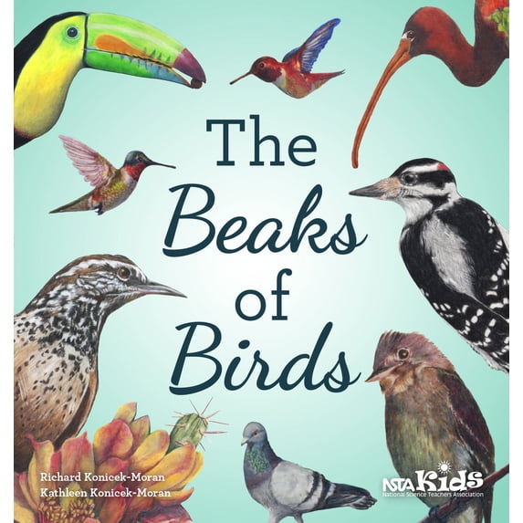 Pre-Owned The Beaks of Birds (Paperback) 1681403528 9781681403526