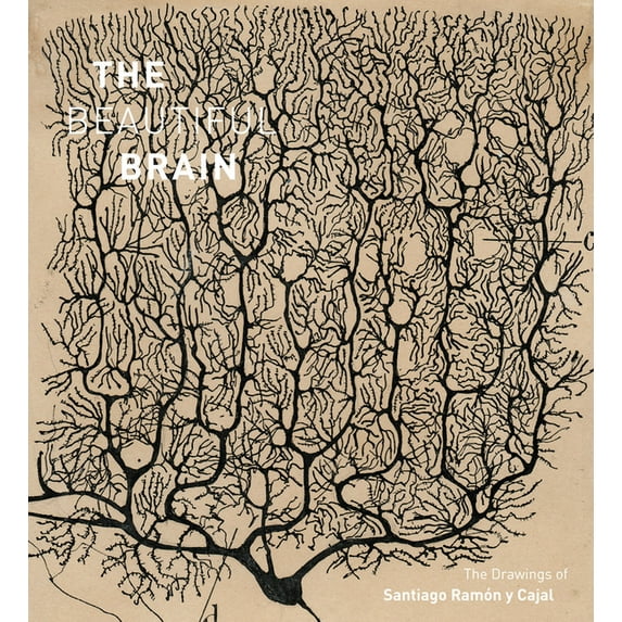 The Beautiful Brain: The Drawings of Santiago Ramon Y Cajal, (Hardcover)
