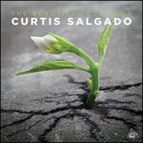 Pre-Owned The Beautiful Lowdown (CD 0014551497028) by Curtis Salgado