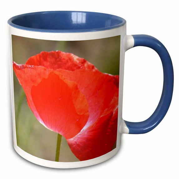 3drose, the Beauty of Red - Poppy Flower - Floral Print, 11oz Two-tone Blue Mug
