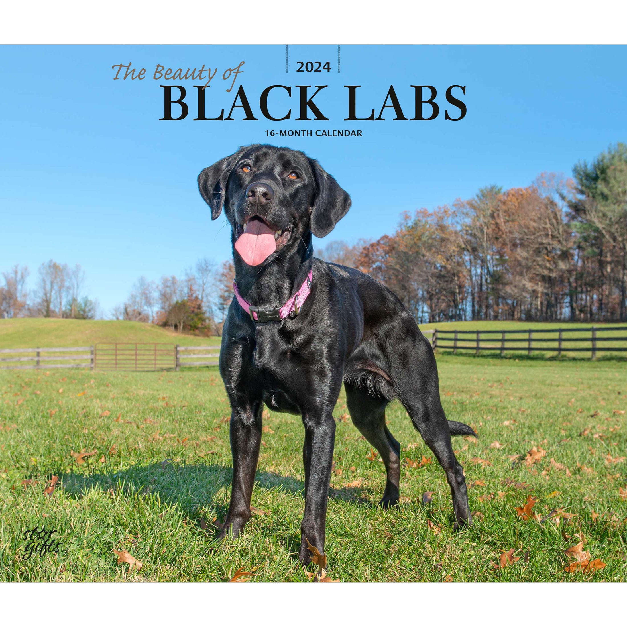 The Beauty of Black Labrador Retrievers 2025 14x24" Wall Calendar