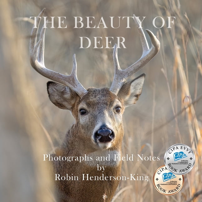 The Beauty of Deer: Photographs and Field Notes, (Paperback)