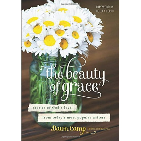 Pre-Owned The Beauty of Grace: Stories of God's Love from Today's Most Popular Writers (Hardcover) 0800723791 9780800723798