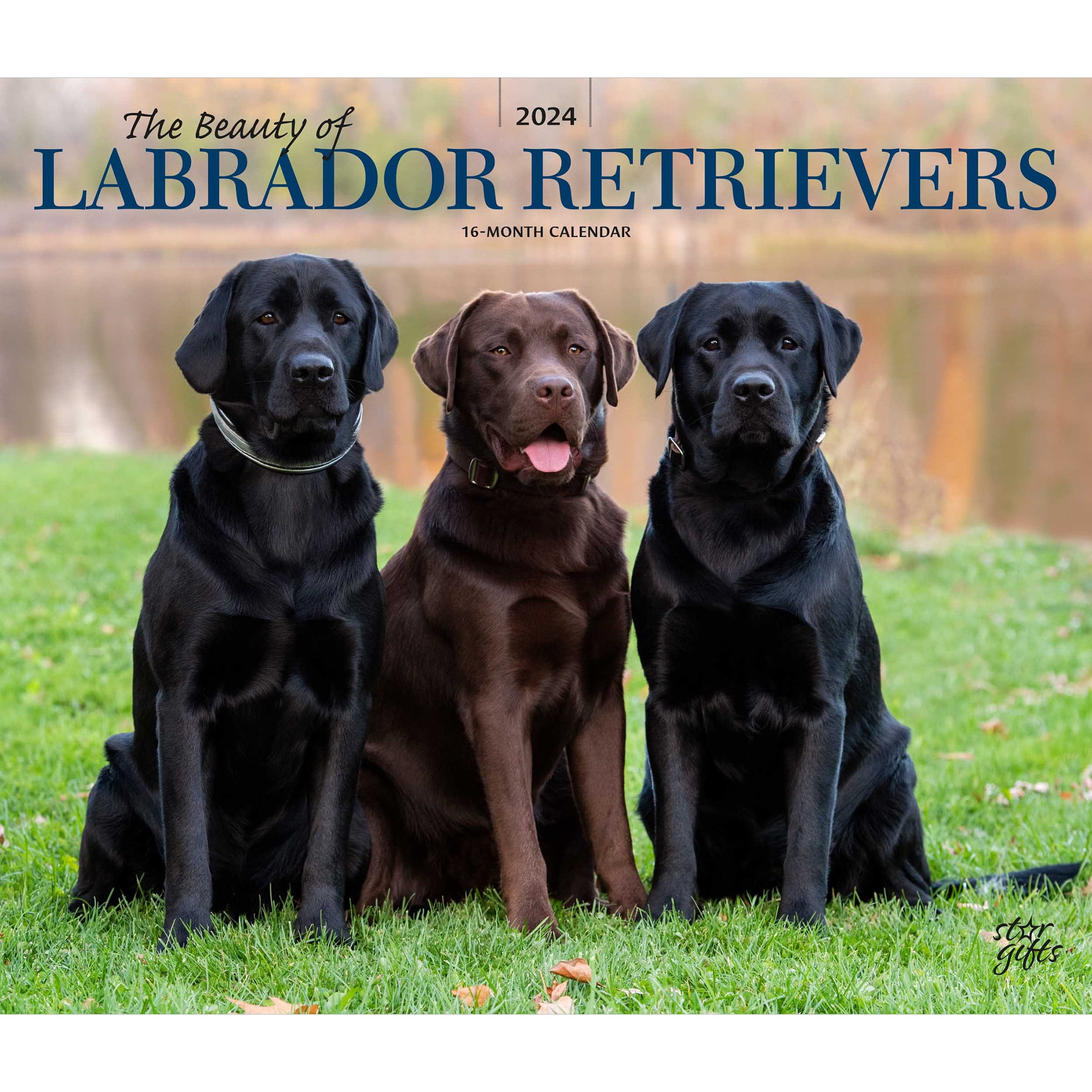 The Beauty of Labrador Retrievers 2025 14x24" Wall Calendar