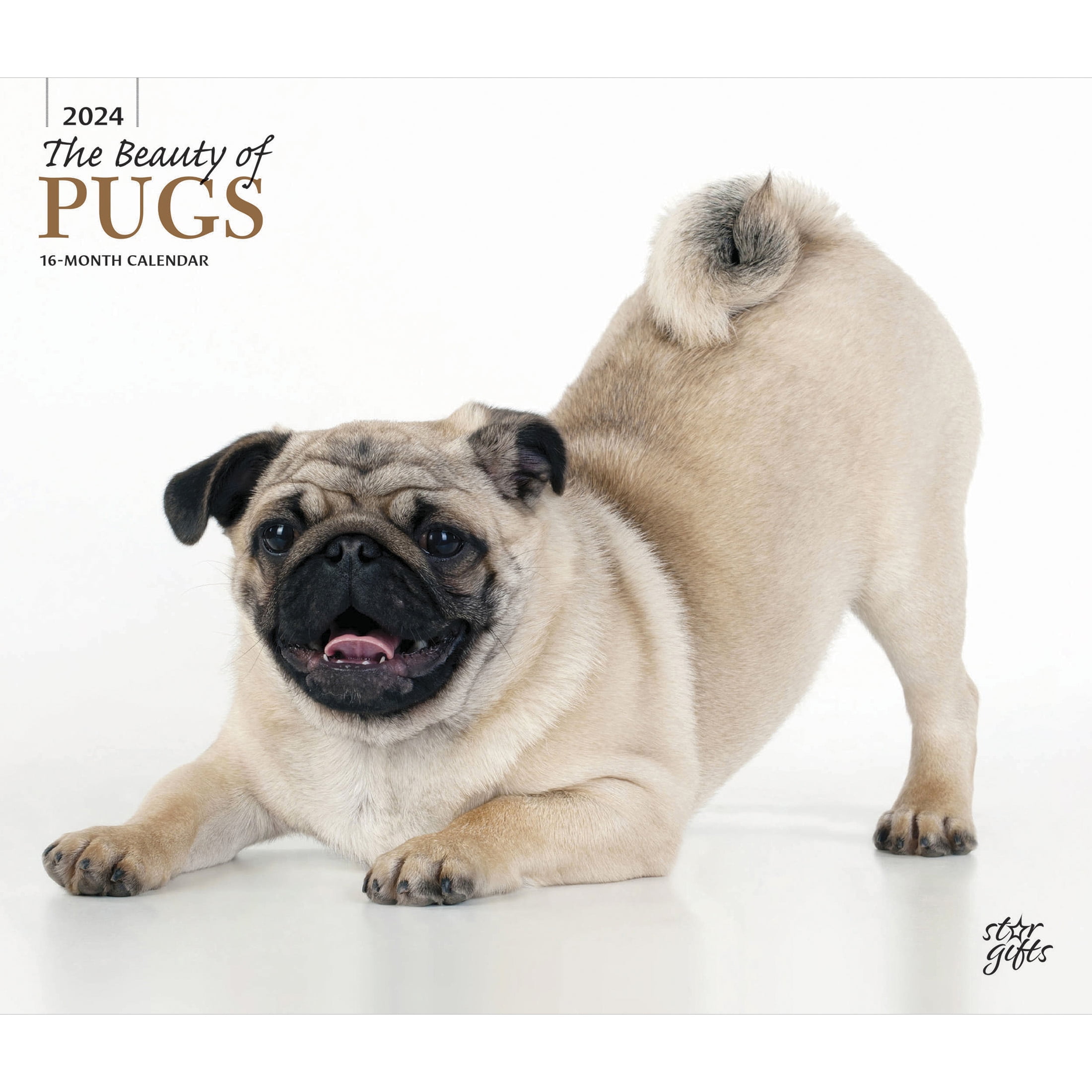 The Beauty of Pugs 2024 14x24" (Hanging) Wall Calendar StarGifts