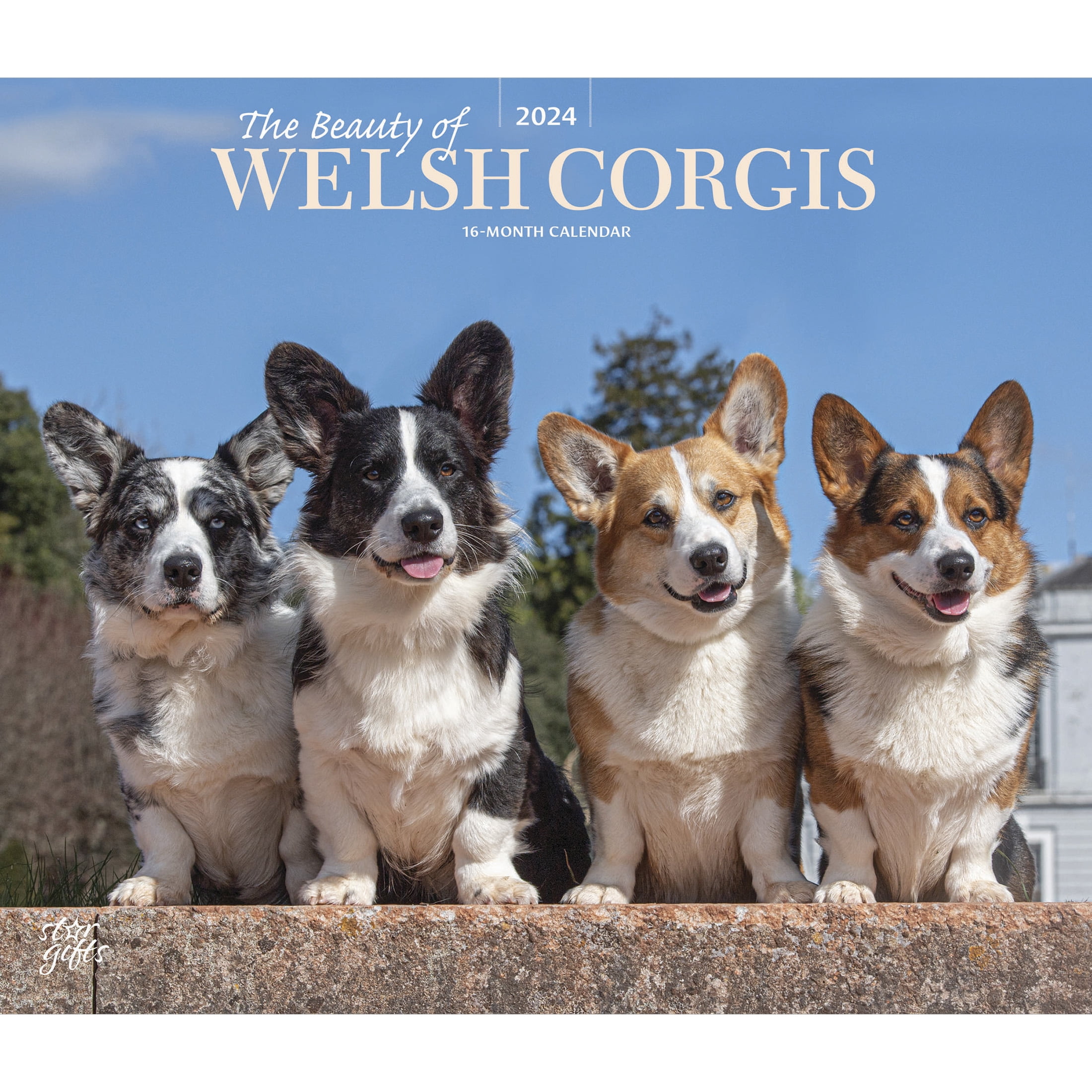 The Beauty of Welsh 2024 14x24" (Hanging) Wall Calendar StarGifts