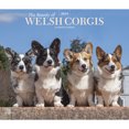thumbnail image 1 of The Beauty of Welsh Corgis | 2024 14x24" (Hanging) Wall Calendar | StarGifts, 1 of 8