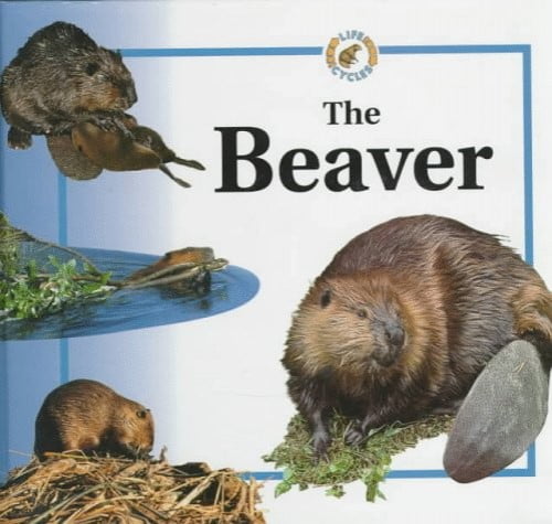 Pre-Owned The Beaver (Life Cycles) (Unknown) 0817243763 9780817243760 ...