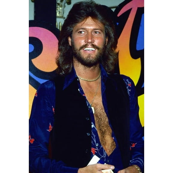 The Bee Gees Barry Gibb 24x36 Poster
