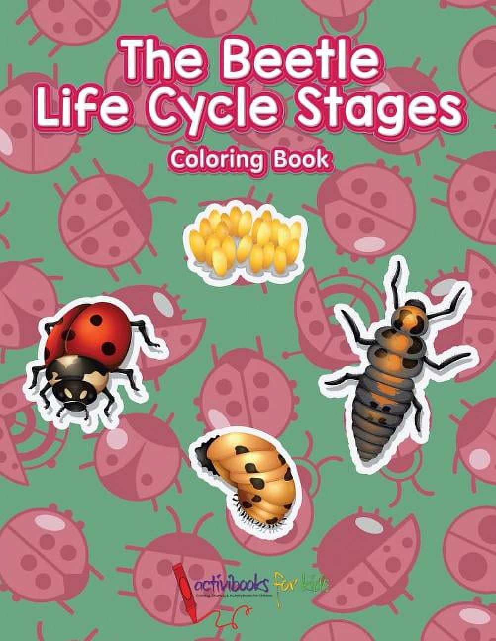The Beetle Life Cycle Stages Coloring Book (Paperback) - Walmart.com The Beetle Life Cycle Stages Coloring Book (Paperback) - Walmart.com