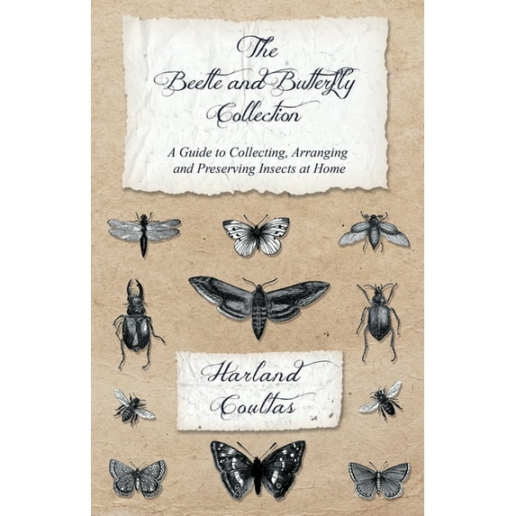The Beetle and Butterfly Collection - A Guide to Collecting, Arranging and Preserving Insects at Home, (Paperback)