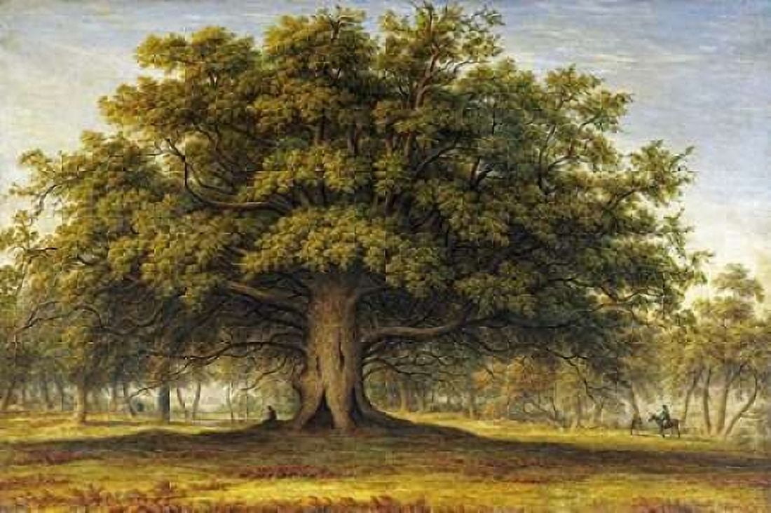 The Beggars Oak Canvas Art - John Glover (24 x 36)