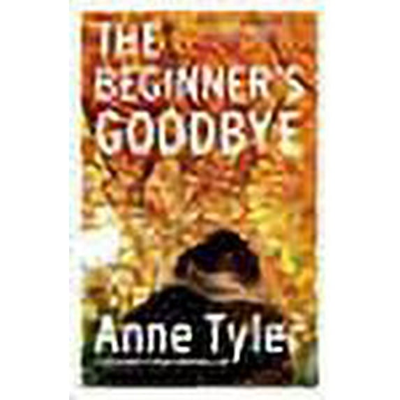 The Beginner's Goodbye