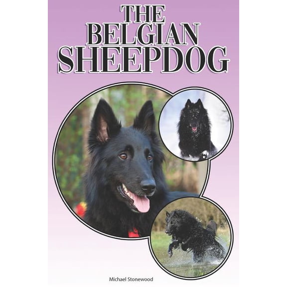 The Belgian Sheepdog (Paperback)