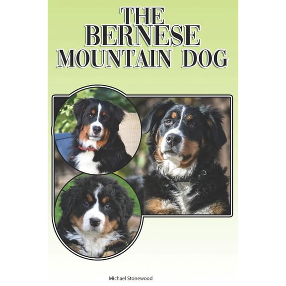 The Bernese Mountain Dog (Paperback)