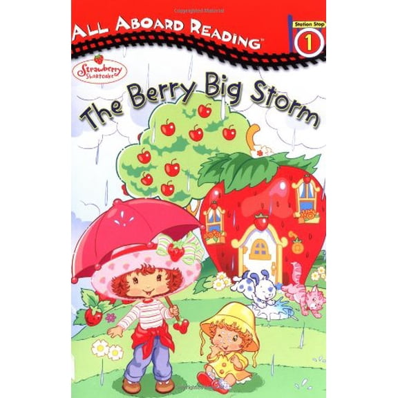 Pre-Owned The Berry Big Storm (Strawberry Shortcake) (Paperback) 0448431351 9780448431352