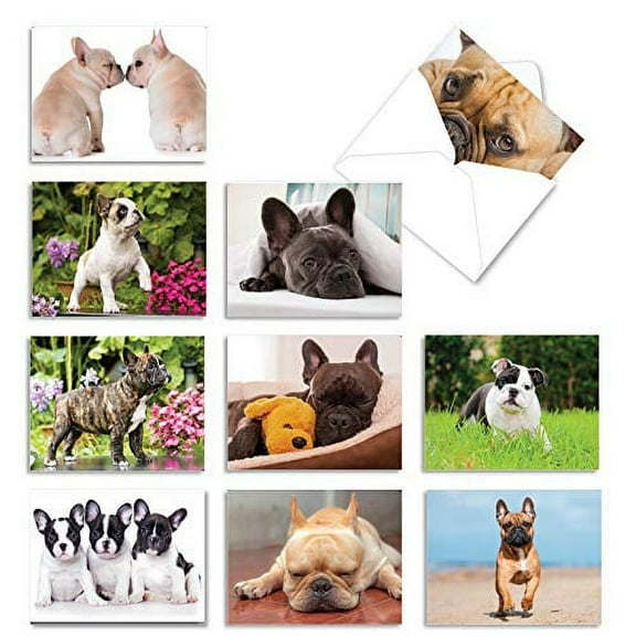 The Best Card Company - 10 Adorable Blank Dog Cards (4 x 5.12 Inch) - Pet Dog Breed Assortment, Boxed - Beautiful Bulldogs AM6298OCB-B1x10