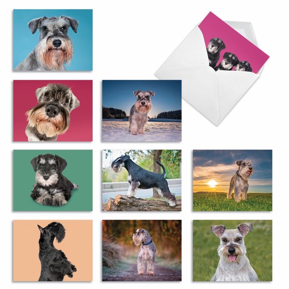 The Best Card Company 10 Assorted Blank Notes Set 4x5.12 w/ Envelopes, 10x1 Designs, for Men, Women, Magnificent Miniature Schnauzers AM6832OCB-B1x10