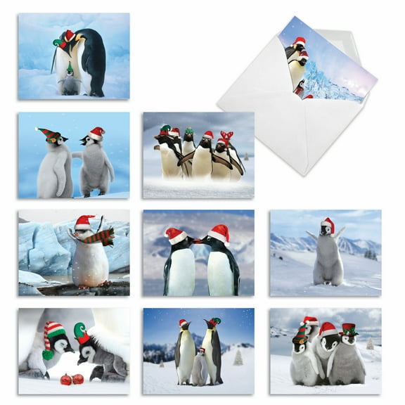 The Best Card Company 10 Assorted Christmas Note Cards Set 4 x 5.12 Inch with Envelopes (10 Designs, 1 Each) PENGUINS AND GREETINGS M2951XSG