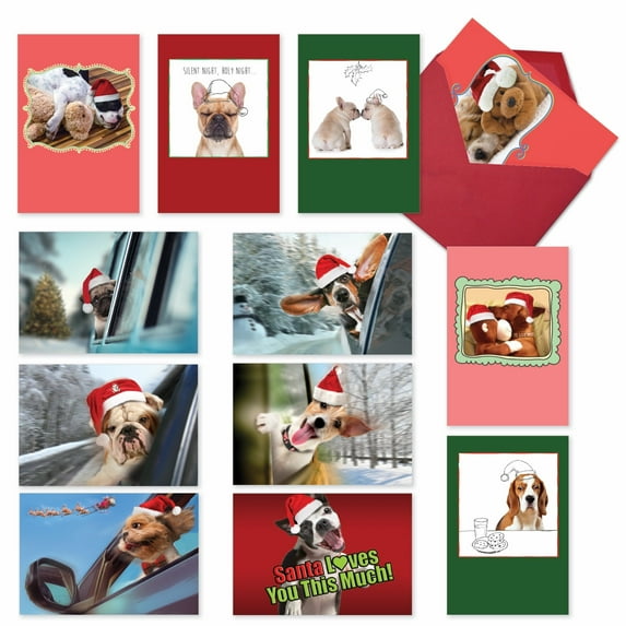 The Best Card Company 12 Assorted Box Set Christmas Greeting Cards w/5 x 7 Inch Envelopes (12 Designs, 1 Each) Puppy Holidays A5642XSG-B1x12