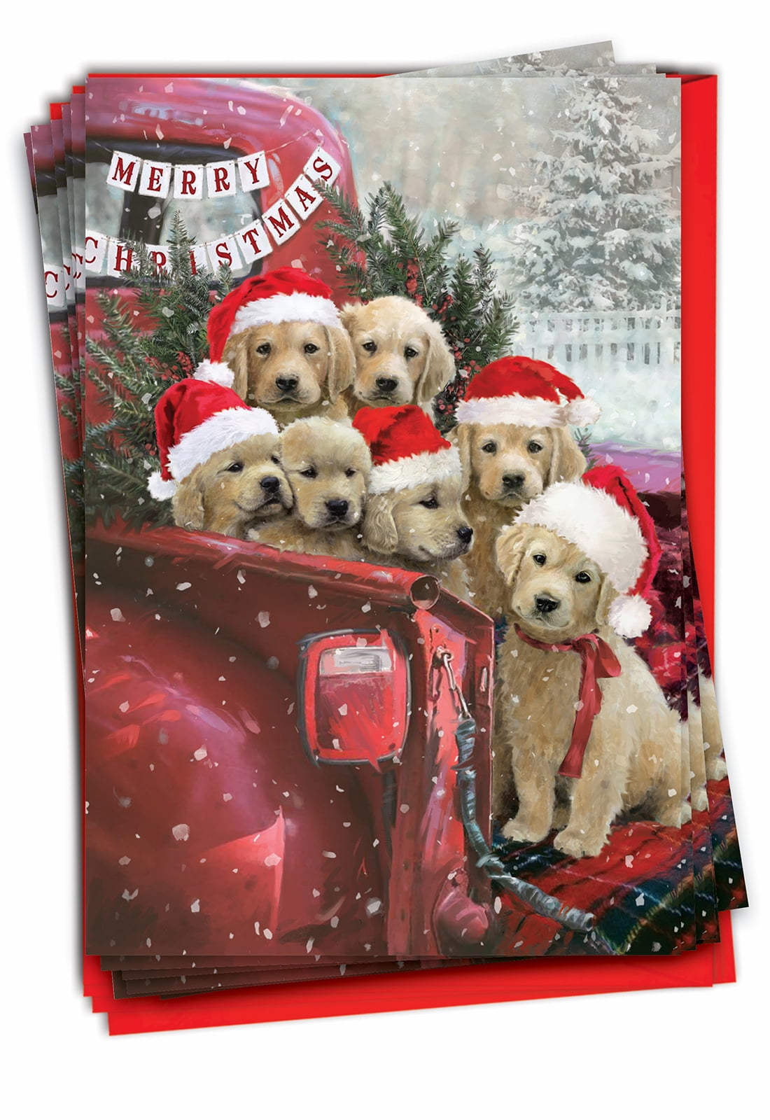 The Best Card Company 12 Christmas Greeting Cards Boxed Set with 5 x 7 Inch Envelopes (1 Design, 12 Each) Red Truck Puppies-Goldens C3375BXSG-B12x1