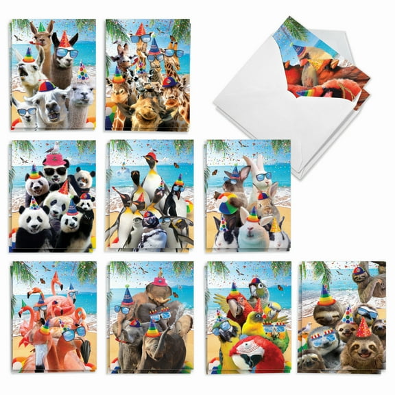 The Best Card Company 20 Assorted Birthday Notes Bulk Box Set 4 x 5.12 Inch with Envelopes (10 Designs, 2 Each) Wildlife Photo Ops AM10209BDG-B2x10