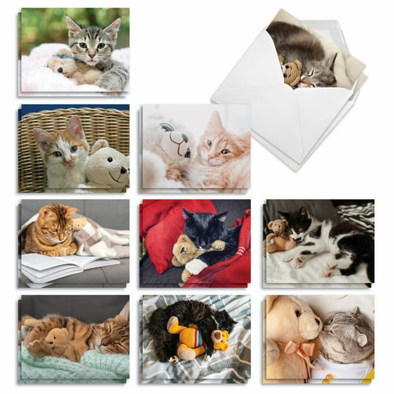 The Best Card Company 20 Assorted Blank All Occasions Notecards Box Set 4 x 5.12 Inch with Envelopes (10 Designs, 2 Each) Teddy Cat AM2821OCB-B2x10