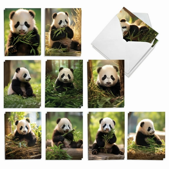 The Best Card Company 20 Assorted Blank Notecards Boxed Set 4 x 5.12 Inch with Envelopes (10 Designs, 2 Each) Panda Pups AM10041OCB-B2x10