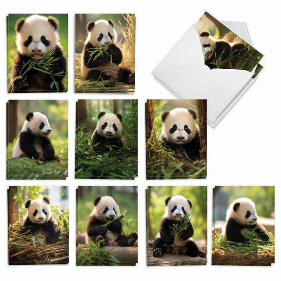 The Best Card Company 20 Assorted Blank Notecards Boxed Set 4 x 5.12 Inch with Envelopes (10 Designs, 2 Each) Panda Pups AM10041OCB-B2x10