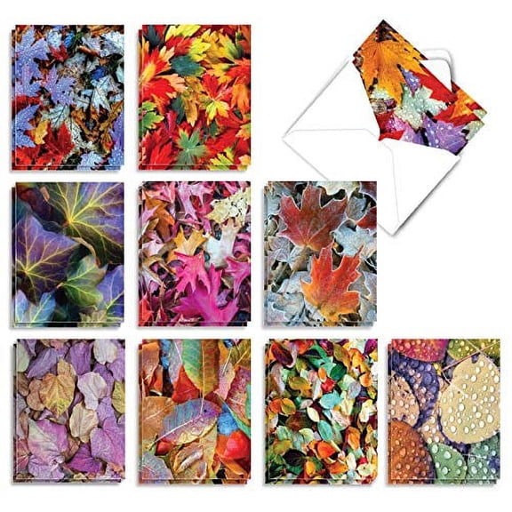 The Best Card Company - 20 Assorted Blank Plant Cards Boxed (4 x 5.12 Inch) (10 Designs, 2 Each) - Lavish Leaves AM7177OCB-B2x10